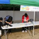 해성초등학교 내초분교 이미지