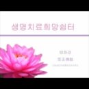 푼다리카 이미지