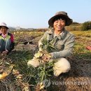경남생약초 이미지