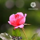 행복한날 이미지