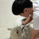 발라댕 네이버블로그