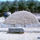 송산조견선생묘 이미지