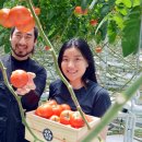 유인철농장 이미지