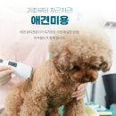 애견미용사 3급 자격증 과정 2 이미지