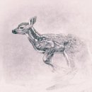 반광옥 카카오 검색결과