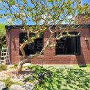 여주-0991 이미지