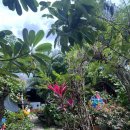 개왕마마 | 태국 여행 쿠킹클래스:: 치앙마이 이색 여행, 마마노이 타이 쿠킹클래스 에어컨 없는 클래스 후기