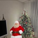 지오노블 | 고터 현대데코 트리 택배 구매! 3년 사용 후기! (24평/180cm/지네전구)