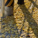 한들 태권도 | OPIc 영어 IH (Intermediate High) 취득 후기