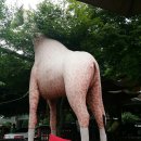 백운장수촌 이미지