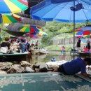 이집이 좋겠네 이미지