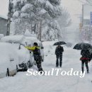 상장남길 이미지