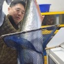 남해-305 이미지