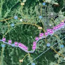 전막~강북교차로 이미지