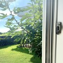 우도피아 이미지