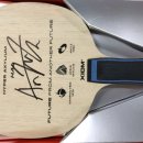 버터플라이임팩트(주) 이미지