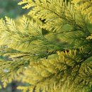 다인농장2 이미지