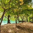 옻골다목적구장 이미지