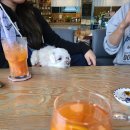 파리바게뜨 동해이도점 이미지