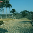 지동3리경로당 이미지