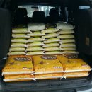 THE 조은 태권도장 이미지