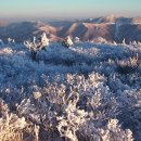 제 73차 강원도 태백산(1,567m) 눈꽃산행..(1월 27일) 이미지