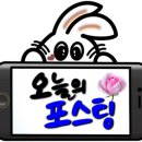흥투