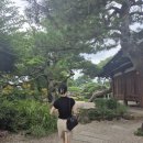 네가 경주에 온다면 _ 요석궁 / 솔거미술관/ 엘로우