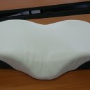 새론오토모티브노동조합 이미지