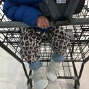 130 | 아기 신발 선물 추천 미니위즈 120 130 후기