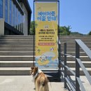 북구보건소 본관건물 좌측 | 강원 춘천 강아지 수영장: 강아지숲 네이처풀 (강아지 수영장 Top5 재방문 후기)
