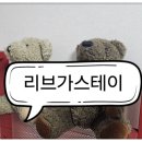 리브가 스테이 이미지