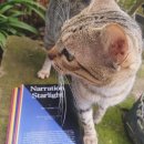 Letter and Photo from Mariela Cordero, Kim Say-Young 김세영 이미지