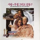 매리휴게실 | [The Movie] 프라이드 그린 토마토(Fried Green Tomatoes)