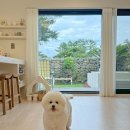 더포레스트하소로 이미지