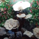 땅끝해양 자연사박물관 이미지