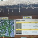 빛날환 - 화천군 다파로 438-10 | 제주민속촌 입장료 할인 꿀팁! 항공사 30% 할인받고 태교 여행 다녀온 후기🍊