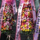 웅치면사무소 이미지