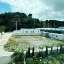 남애서퍼스빌리지 이미지