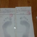 상봉알즈너