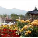 곡성-266 이미지