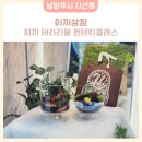 남양주다산유치원(공립) | 남양주테라리움 이끼상점 다산원데이클래스 후기