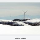 삼양목장 이미지