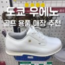 골프 용품 매장 추천 3곳 : Festival Golf, Niki Golf, Kotobuki Golf (풋조이 프리미어 골프화 구매 후기)