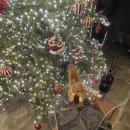 오캄 | 건대 디저트 카페 추천 오캄 OKLM방문 후기