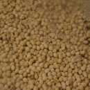 일등장터 이미지