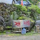 사지목 나무그늘 이미지