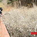 중원영농조합법인