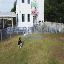 주식회사 컴투펫 이미지