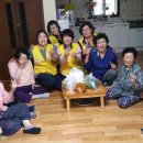 장덕경로당 Daum카페